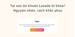 Lỗi Lazada 3