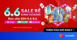 lazada 6.6